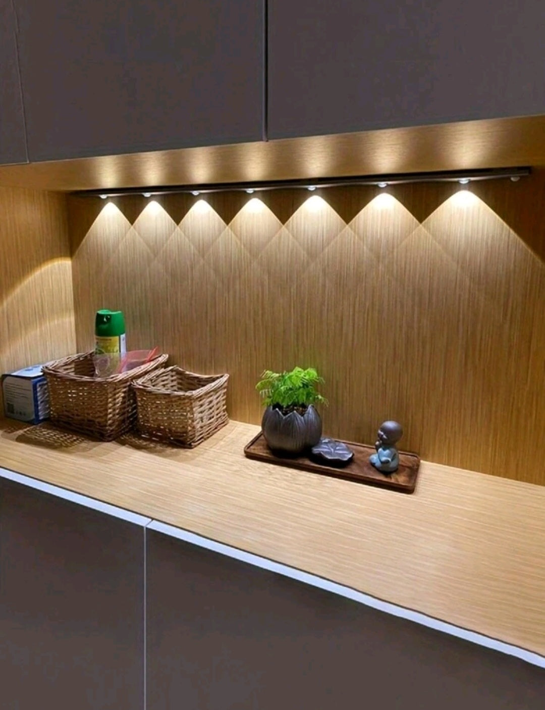 Rechargeable LED Body Motion Sensor Lights